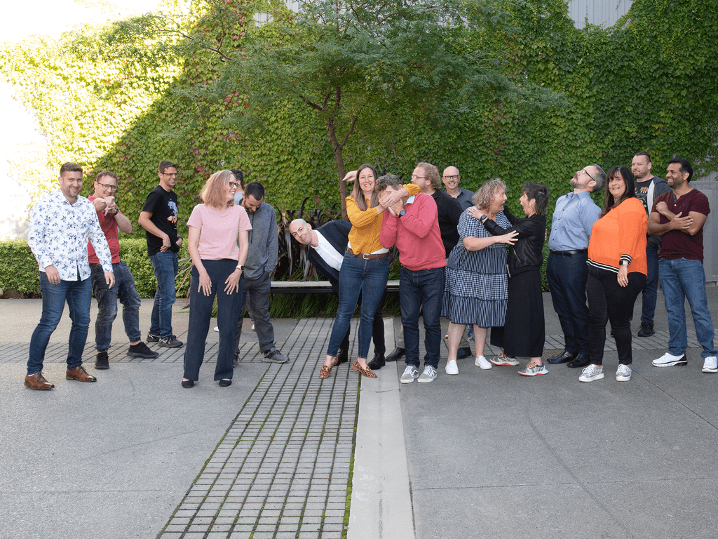 Web Development Team